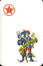 10399 Spielkarte fur Sehschwache I Joker 10399 Spielkarte fur Sehschwache I Joker