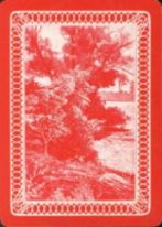 10762 Prof Sewards Fortune Telling Cards RS