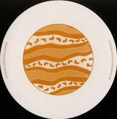10827 Het Orakel van de Droomtijd RS