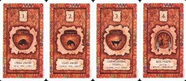 10859 Shaman Wisdom Cards