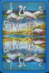 11555 Birds RS 11555 Birds RS