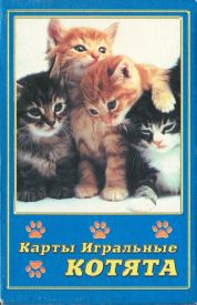 11799 Katzen Box VS 11799 Katzen Box VS