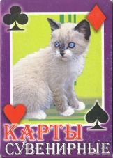 11846 Katzen Box RS 11846 Katzen Box RS