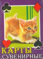 11846 Katzen Box VS 11846 Katzen Box VS