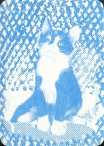 11846 Katzen RS 11846 Katzen RS