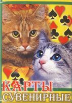 11847 Katzen Box B Box RS 11847 Katzen Box B Box RS