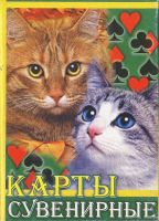 11847 Katzen Box B Box VS 11847 Katzen Box B Box VS