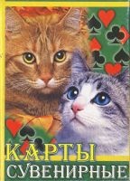 11847 Katzen Box B Box VS