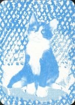 11847 Katzen Box B RS 11847 Katzen Box B RS