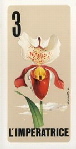 10214 Fiori Divinatori 03 10214 Fiori Divinatori 03