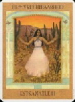 10836 Het Godinnen Tarot 03 10836 Het Godinnen Tarot 03