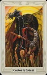 10841 Tarocchi Specchhio dell anima Munzen Reiter 10841 Tarocchi Specchhio dell anima Munzen Reiter