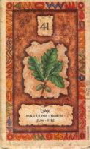 10859 Shaman Wisdom Cards Box RS