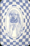 12535 Stschenjata RS 12535 Stschenjata RS